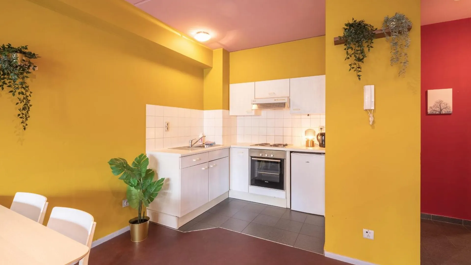 Bright And Central Antwerp Apartments Belgie