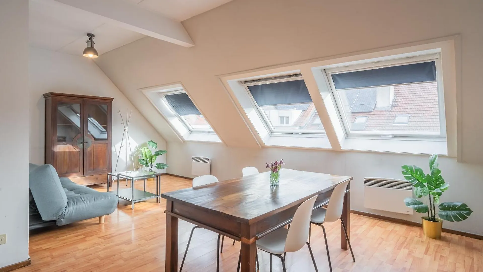 Bright And Central Antwerp Apartments