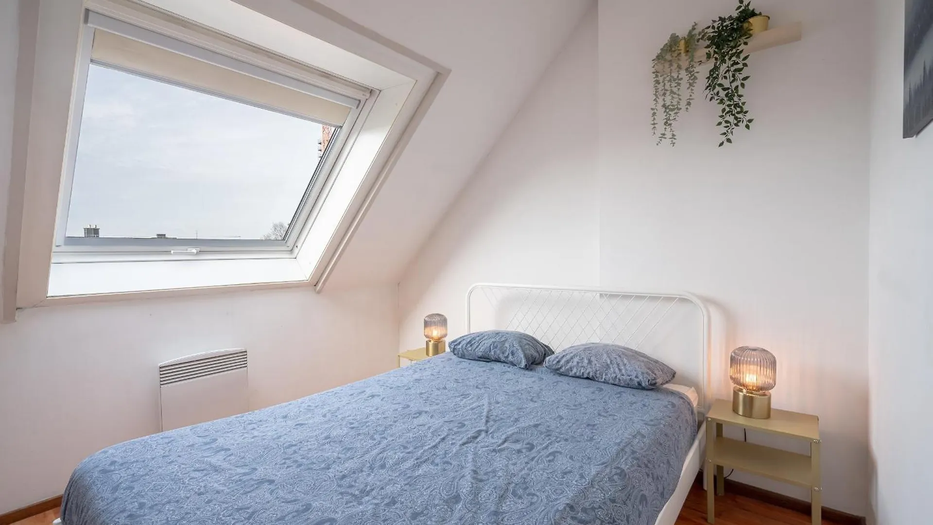 Bright And Central Antwerp Apartments